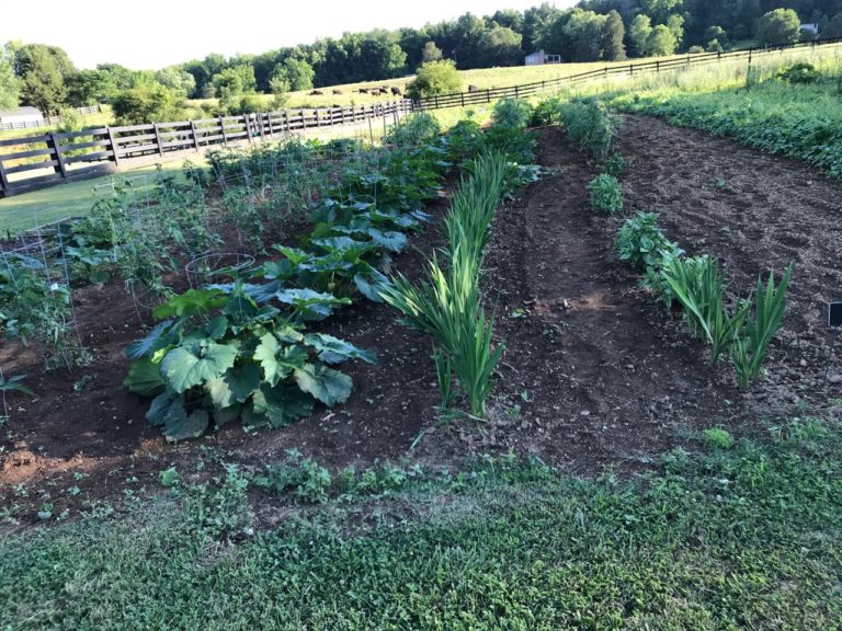Community garden at The Reserve at Leonard Farms. Bristol, Tennessee
