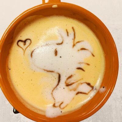 Bristol, TN Food Guide: Bear Necessiteas & Coffee must try - coffee - cappuccino art